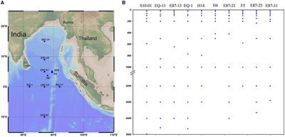 Vertical dynamics of free-living and particle-associated vibrio communities in the eastern tropical Indian Ocean